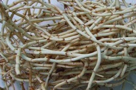 女人吃鱼腥草对身体有什么好处?这四个女人吃鱼腥草的好处