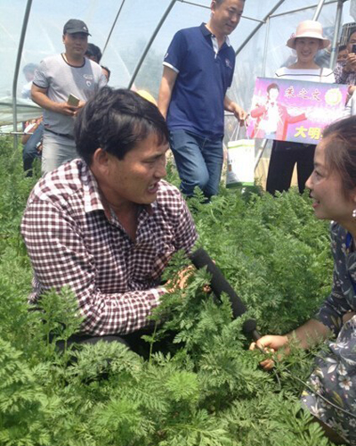大衣哥朱之文离婚真相大揭秘