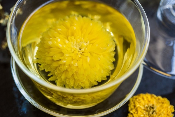 女性养生美容最适合喝的4款茶