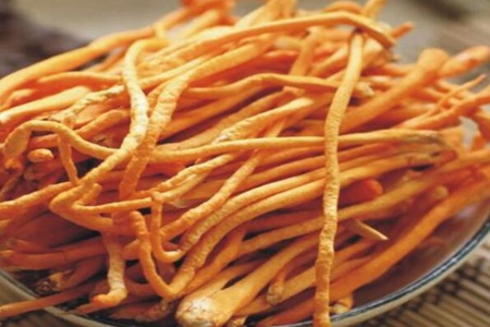 虫草花的功效与作用,这五个女人吃虫草花的营养价值