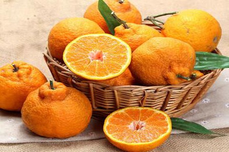 丑橘的功效与作用，这四个女人吃丑橘的营养价值