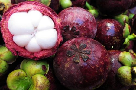 山竹的功效与作用，这三个山竹功效不仅补充营养