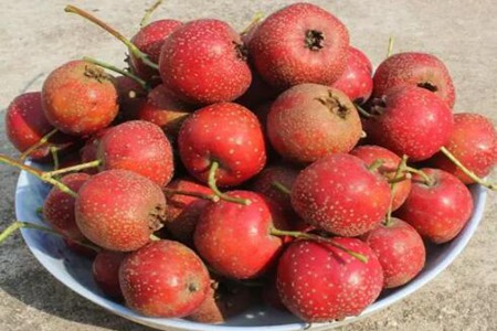 月经期间不能吃什么东西？这五个食物加剧痛经不要再贪嘴