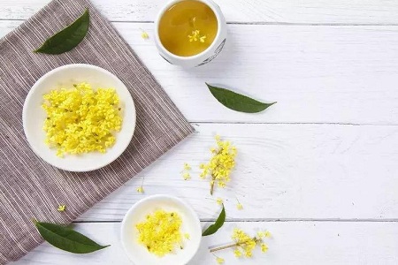 女性重阳采茱萸,既避邪又御寒