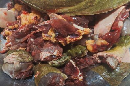 甲鱼汤怎么炖补肾效果好?滋补甲鱼汤的做法简单