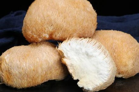 胃胀气吃什么食物?这五个食物有助于养胃护胃