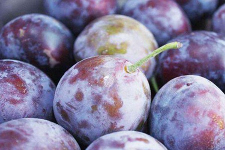 西梅的功效与作用,这五个女人吃西梅的营养价值功效