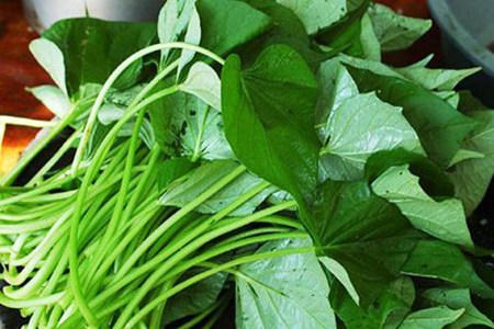 红薯叶的功效与作用,这五个女人吃红薯叶的营养功效