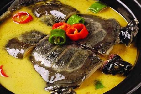 甲鱼的功效与作用,这五个女人吃甲鱼的营养功效