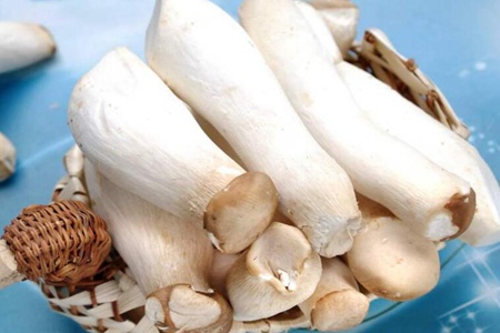 杏鲍菇的功效与作用,五个女人吃杏鲍菇的营养价值