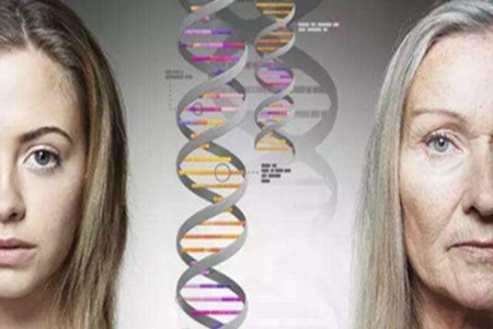 如何清除女人体内的毒素？清除毒素的办法有哪些