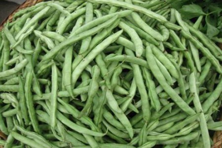 四季豆的功效与作用,这五个女人吃四季豆的好处与功效