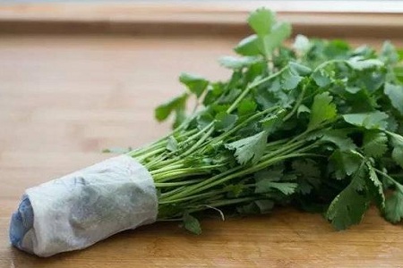 香菜与葱的抉择，多吃香菜葱的好处？