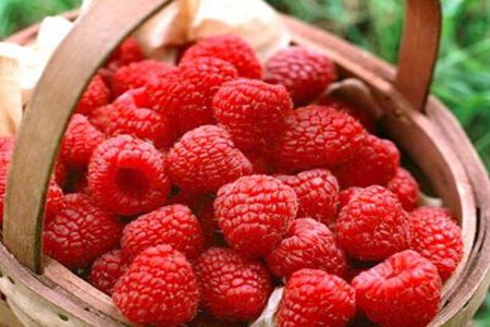 覆盆子的功效与作用,这五个覆盆子的营养价值功效