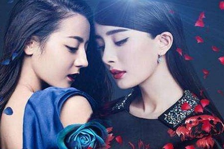 第28届中国金鸡百花电影节,盛大豪华阵容震撼来袭!