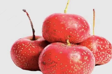 可蒸着吃的水果合集,转变食用方式营养加倍