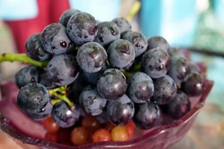 喉咙痛吃什么好?这五个食物多吃病好得快速