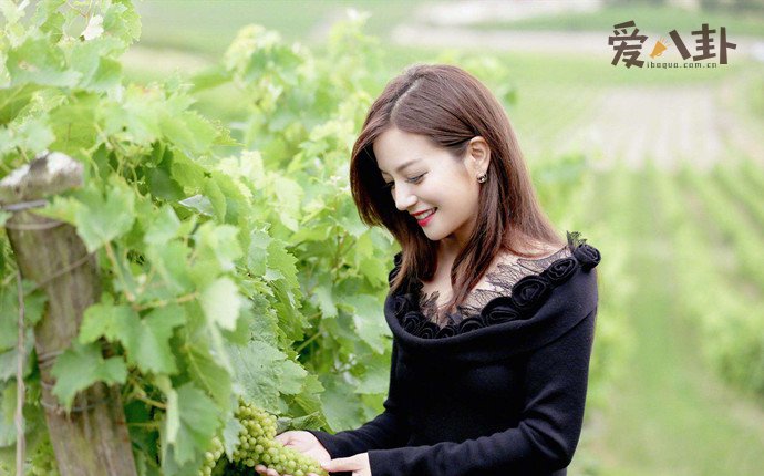 导致众多股民联合起来状告赵薇？_赵薇割韭菜是什么意思