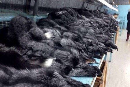 伊能静竟然全裸出镜？原来海王12亿票房的背后是无数条生命