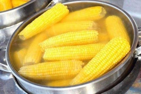 煮玉米需要多长时间