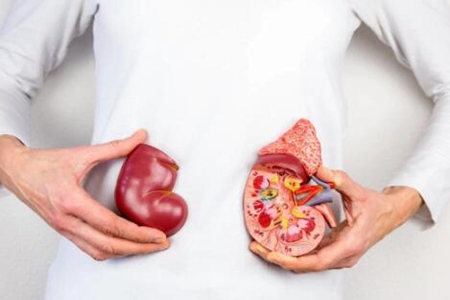 肾结石是什么原因引起的?这五个因素造成得趁早改正