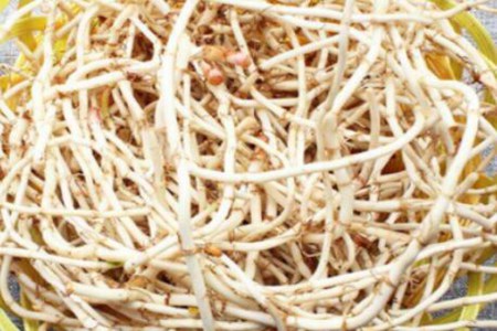 折耳根怎么做好吃?凉拌折耳根做法及配料