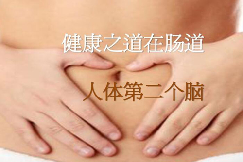 饮食对肠道健康的重要性