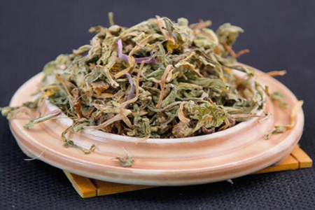 黄芪的最佳搭配,这五种黄芪的功效搭配补身体