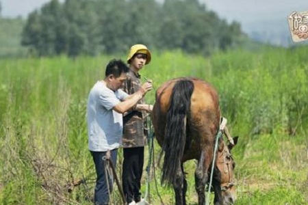 隐形富二代魏大勋开荒犁地 大勋真是抠门一男演员吗