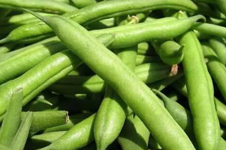 春季应该预防哪些食物中毒呢?这五个食物注意预防中毒发生