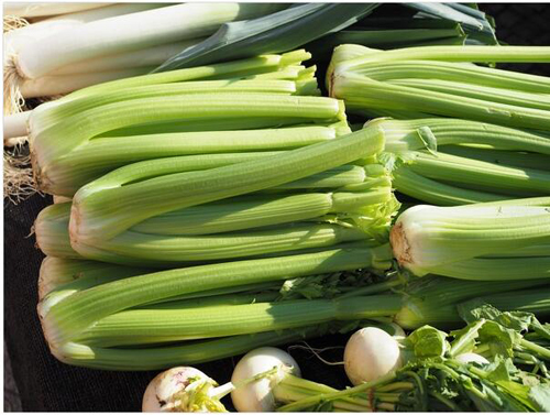 男人壮阳补肾的食物有那些