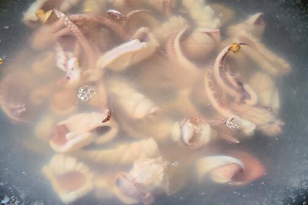 鱿鱼怎么炒好吃又嫩?爆炒鱿鱼的做法和配料