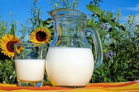 骆驼奶的功效和作用,这五个骆驼奶对女人的好处