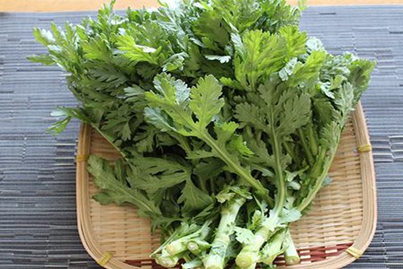 茼蒿菜的作用与功效，这五个女人吃茼蒿菜的药用价值