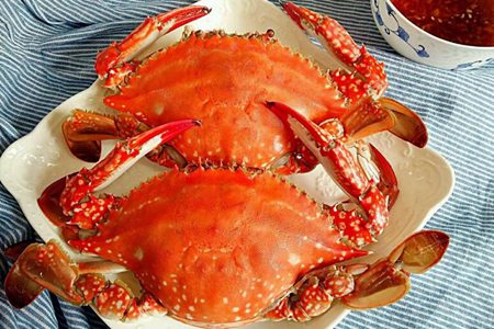 梭子蟹的功效与作用,这五个吃梭子蟹的营养价值