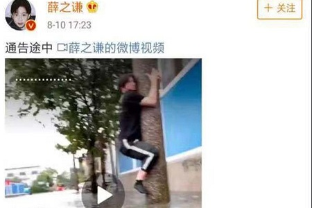 段子手薛之谦抱电线杆拍水灾,共青团表示这热度不要蹭