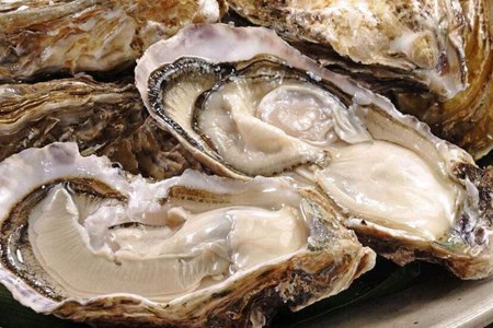 牡蛎的功效与作用,这五个生蚝的功效和好处