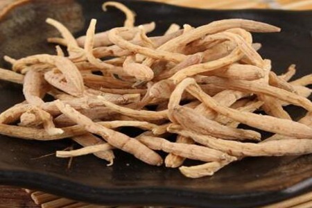 太子参的功效与作用,这四个吃太子参的营养价值