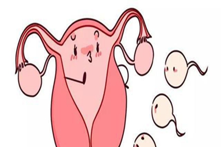 影响卵子质量的因素有哪些?了解女性保健知识拥有完美人生