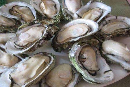 牡蛎的功效与作用,这五个生蚝的功效和好处