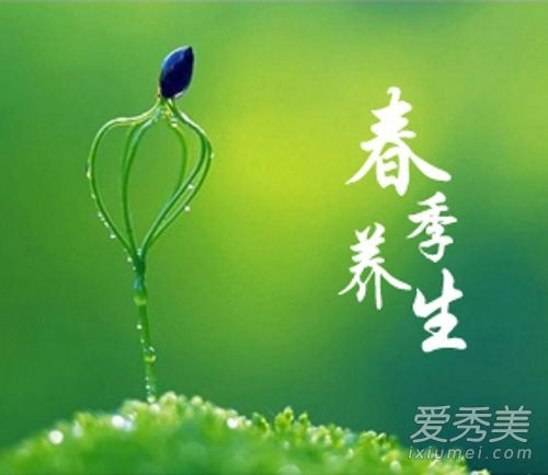 春季养生养什么？推荐几款春季养生茶