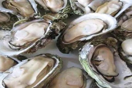 生蚝的做法蒸几分钟?蒸生蚝用冷水还是热水蒸