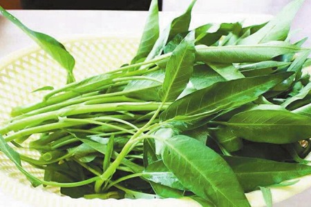 空心菜的功效与作用，这五个女人吃空心菜的营养价值