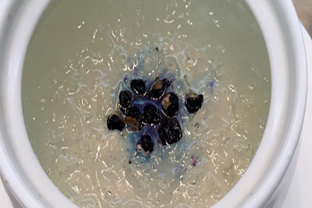 分享孕妇燕窝食谱大全,记住这些做法为孕妈增加营养