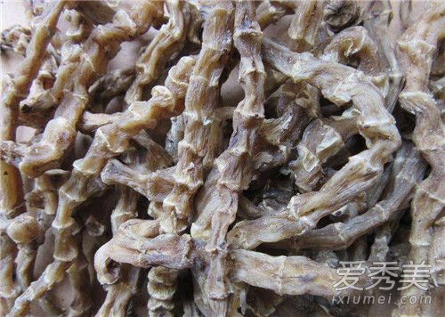 虫草参孕妇可以吃吗 什么人不能吃虫草参