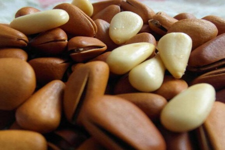 红松果仁功效与作用,这五个女人吃红松果仁的营养功效