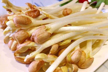 花生芽的功效与作用,这三个女人花生芽的营养功效
