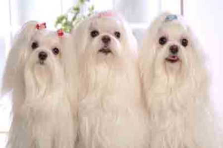 孕中期要注意些什么?了解孕中期注意事项平安度过妊娠期