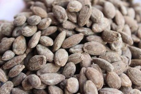 吊瓜子的功效与作用,这四个女人吃吊瓜子的营养功效