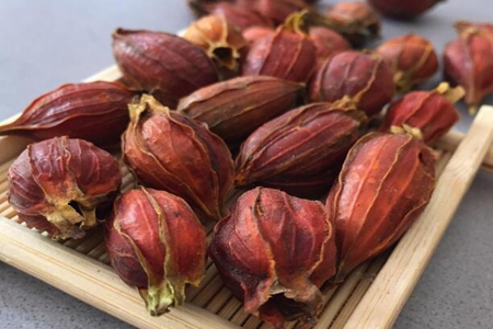 黄芪的最佳搭配,这五种黄芪的功效搭配补身体